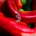 Cocoerow Red Pepper Earring Red Rubies Diamonds 14K Gold Sculptural Fine Jewelry